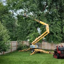 Best Hazardous Tree Removal  in Fountainebleau, FL